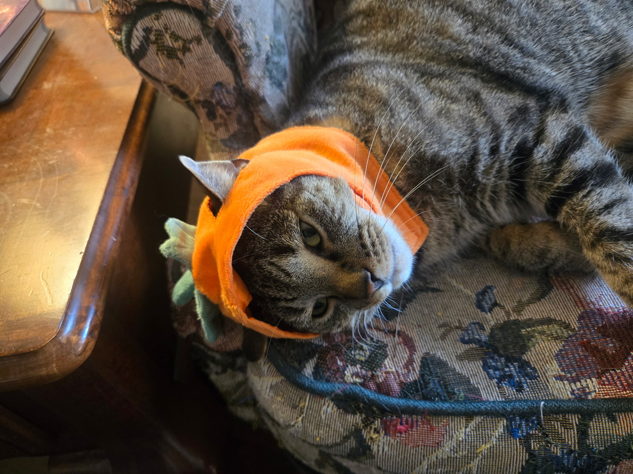 Muncie Hollandsworth