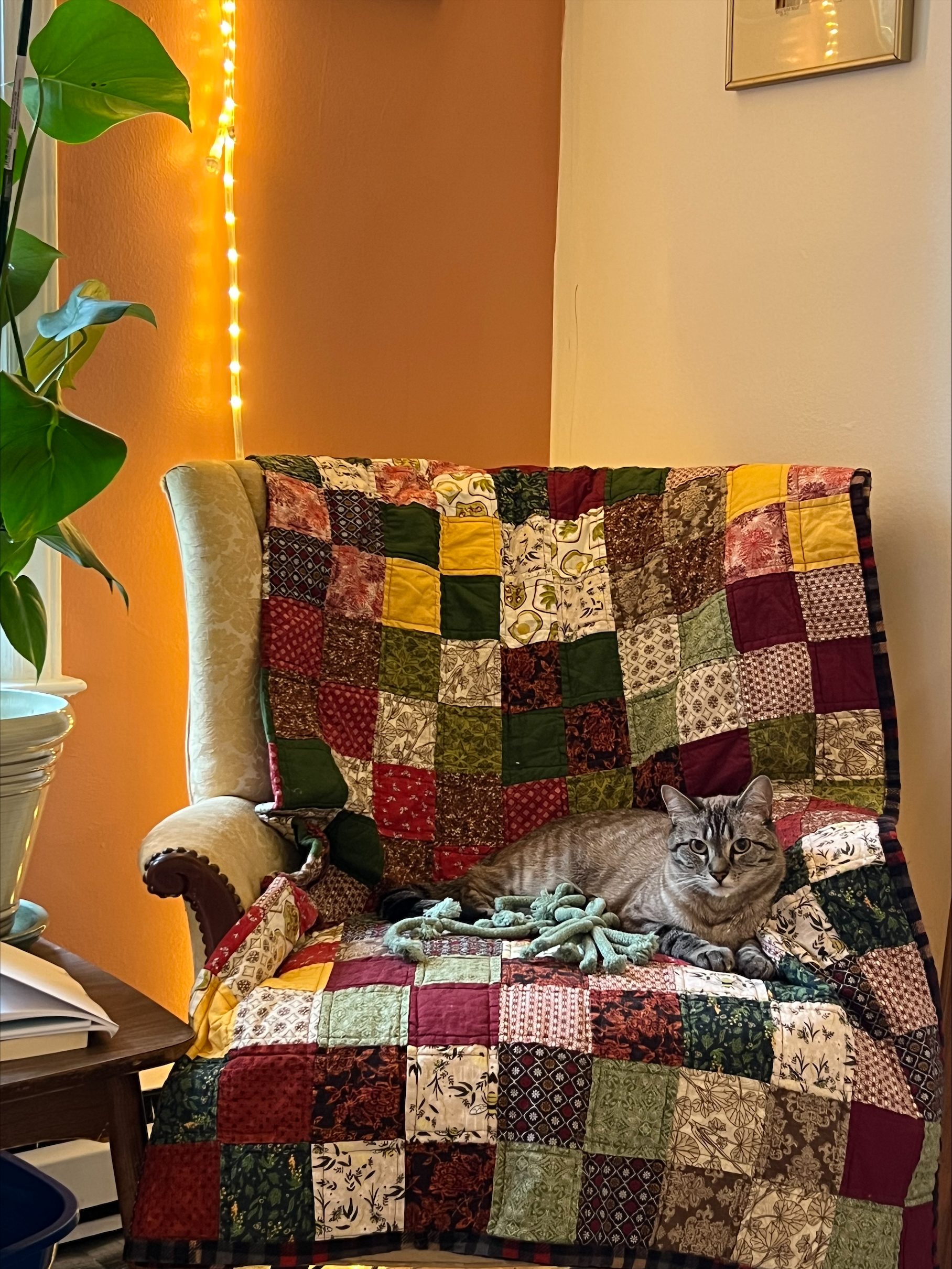 processed-0A05483A-5574-405B-9966-2C893754B7F2