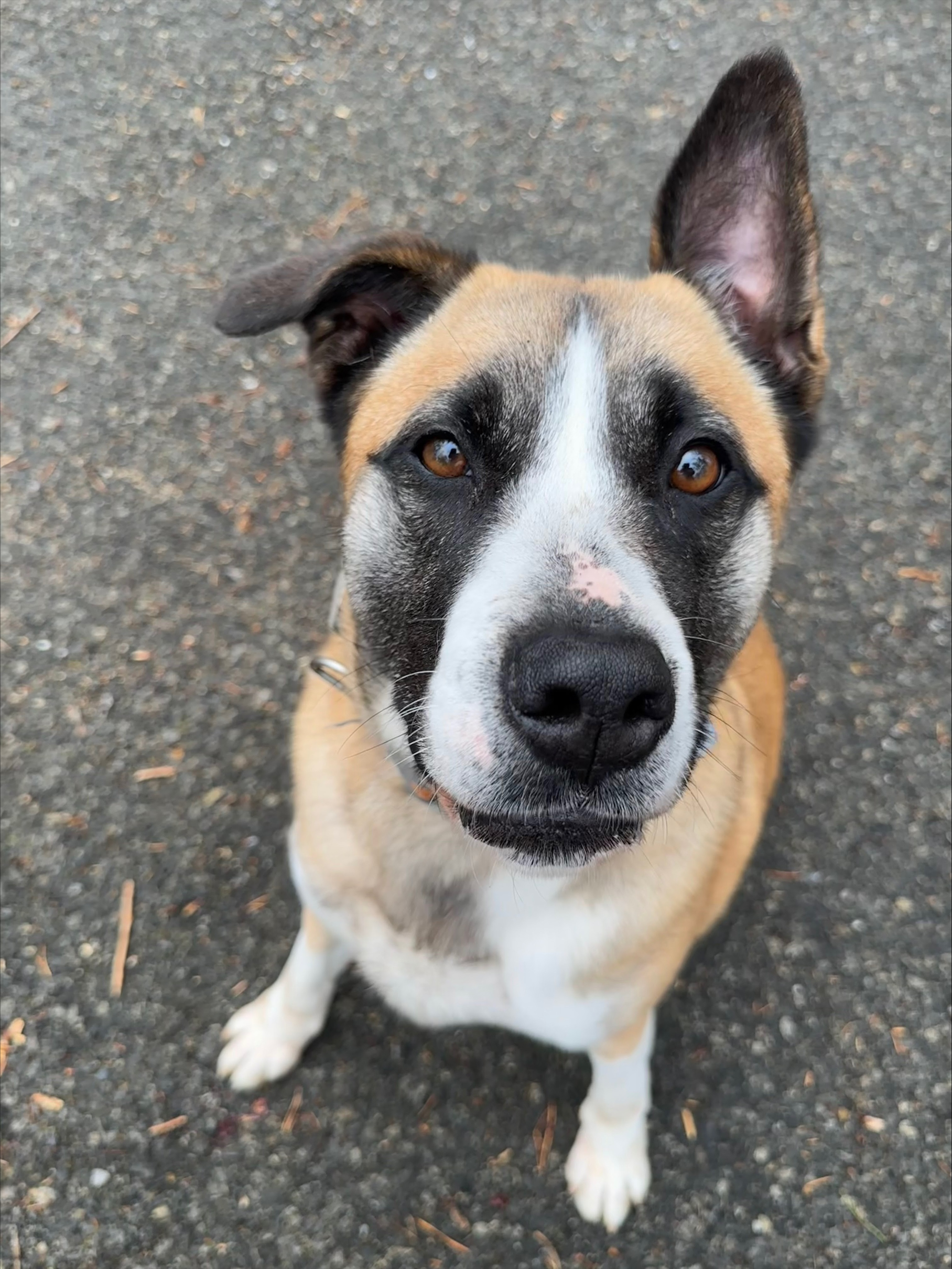 processed-5446A6A9-0AFA-4766-A15E-25734F2F040E