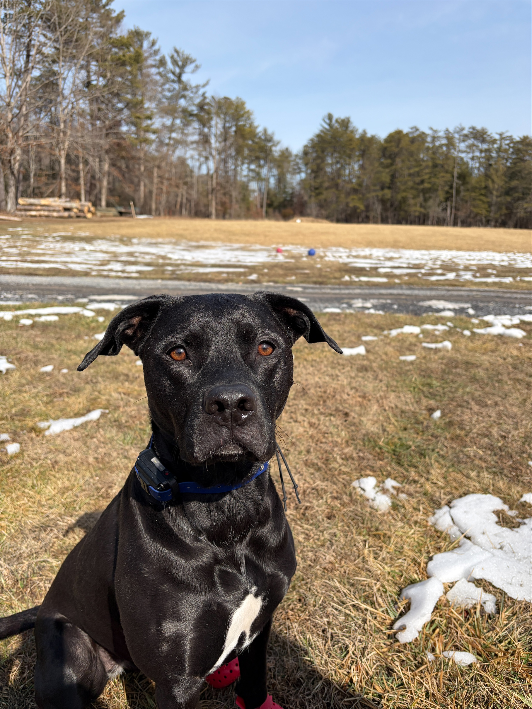 processed-80C2B8F0-7E22-4C7E-973B-EB3DA5A8F484