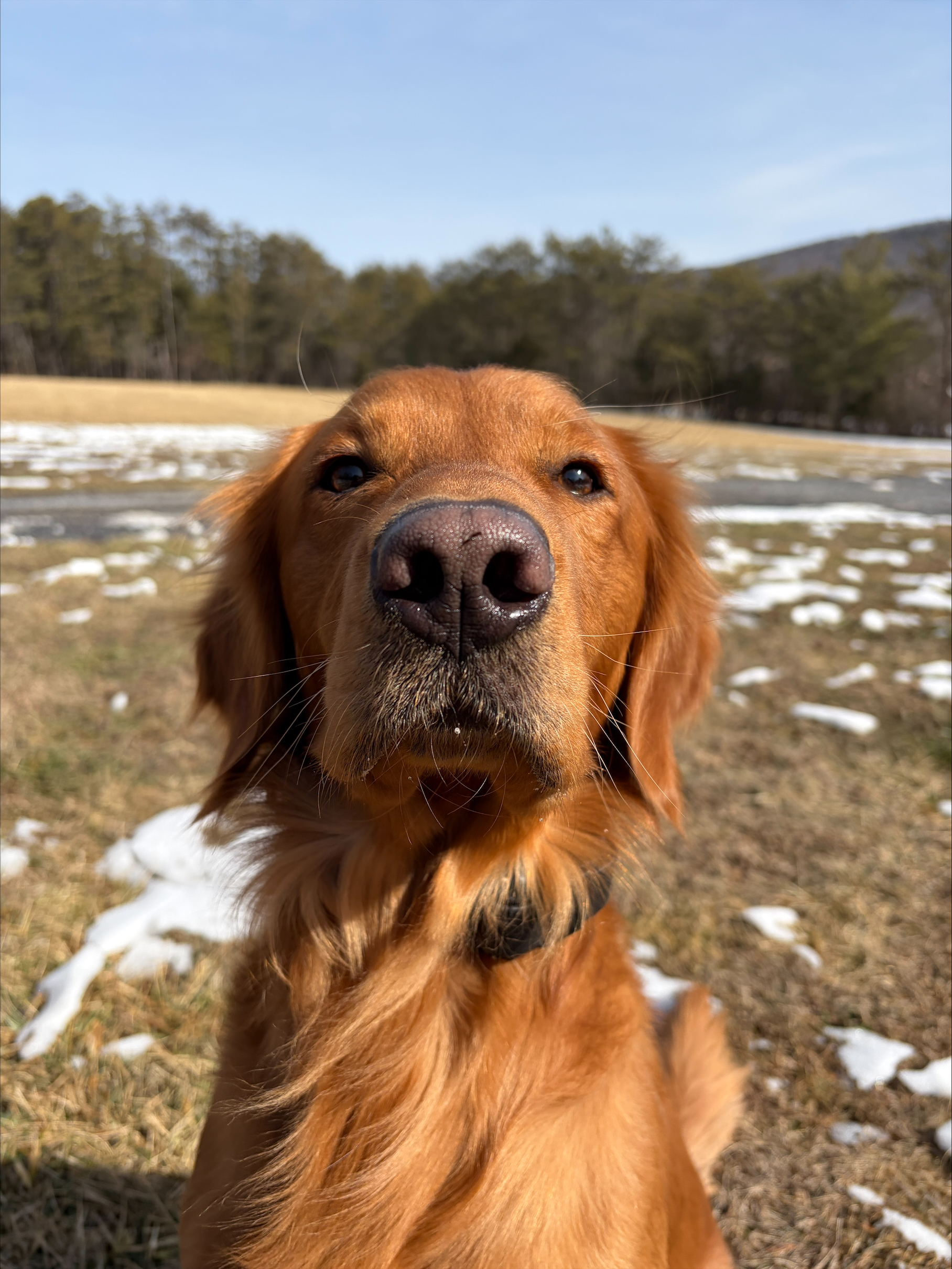 processed-96EAE257-9671-40D2-B7FE-D455CBD19665